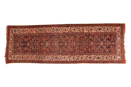 3.5x10.5 Antique Bijar Rug Runner // ONH Item sm001137