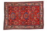 Antique Harshang Bijar rug, cherry red ground, garrus arabesques, European border leaves. 3'10