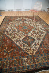  Vintage Baktiari Carpet / Item SM001157 image 7