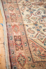 Close-up of hand-knotted Mahal rug border with primitive Herati motifs in rust, ivory, green.