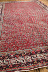 Distressed Persian Mir Serbend carpet showcasing cherry red boteh design and intricate traditional main border.