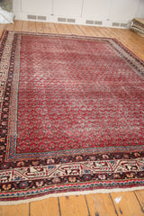 Distressed cherry red Mir Serbend carpet border, featuring classic stylized patterns and fringe.