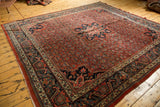 Bijar rug corner with European border, herati field, cherry red and navy blue.