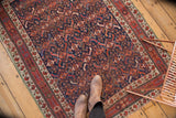 Antique Afshar rug detail: intricate serrated leaf field, colorful borders, and crude side selvage.