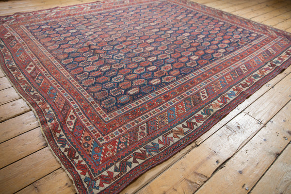 7.5x8.5 Antique Afshar Square Carpet // ONH Item sm001316 Image 3