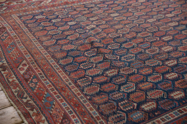 7.5x8.5 Antique Afshar Square Carpet // ONH Item sm001316 Image 4