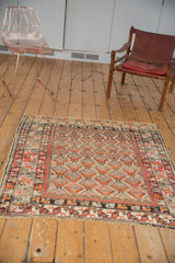 Antique Hamadan rug corner featuring intricate germinating plant border and geometric red, orange motifs.