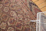 Antique Beshir carpet detail, showing intricate germinating plant lattice motif and worn pile.