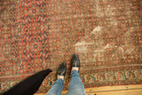 Allover herati motif in brick red and navy blue, highlighting localized wear and border with feet.
