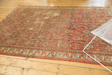 Classic Hamadan border detail with rainbow shades, complementing the brick red herati motif field.