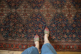 Vintage Qashqai Carpet's low pile, navy blue germinating plants, and madder red zigzag border.