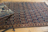Finely woven ivory border of antique Afshar rug, with navy, red, and gold motifs.