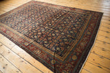 Vintage Fereghan carpet's black cherry red border, navy Herati field, and even pile wear.
