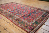 Kurdish Bijar rug corner showing meandering vine border and cherry red floral field.