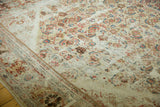Worn ivory Herati pattern and border palmettes on a distressed antique Sultanabad carpet.