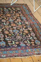 Hand-knotted fringe, sky blue, and madder root red borders with tribal Herati motif.