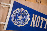White school seal with an oil lamp and 'veritas' on a vintage blue felt flag.