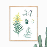Wildflowers botanical art print with watercolor illustrations of yellow goldenrod, green ferns, and purple blossoms.